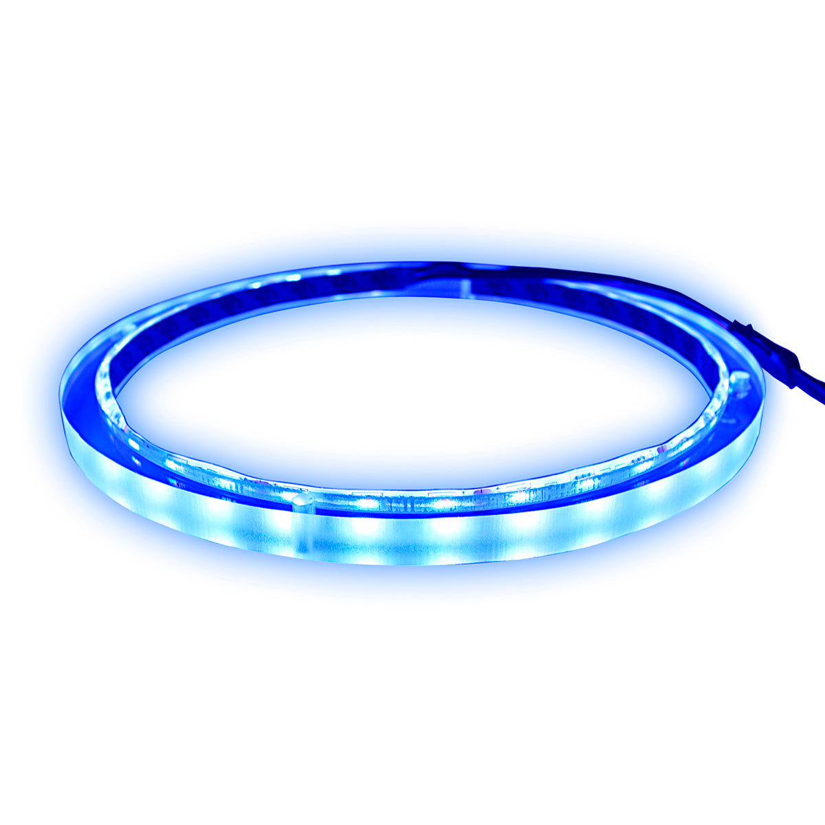 Anel de LED RGB 8 Pol. AudioPipe NL-RIAPMP-8 PAR
