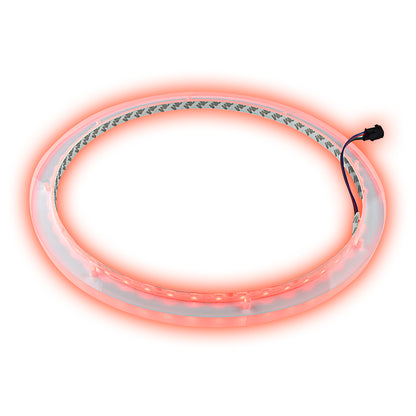 Anel de LED RGB 12 Pol. AudioPipe NL-RIAPMP-12 PAR