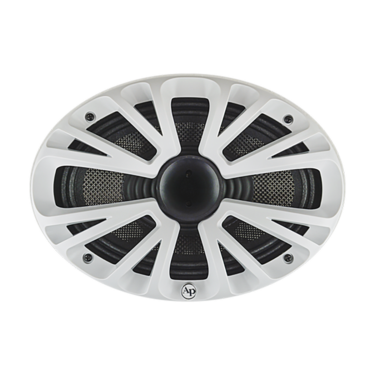 Alto Falante Marítimo 6x9 Audiopipe APMP-6923CHF