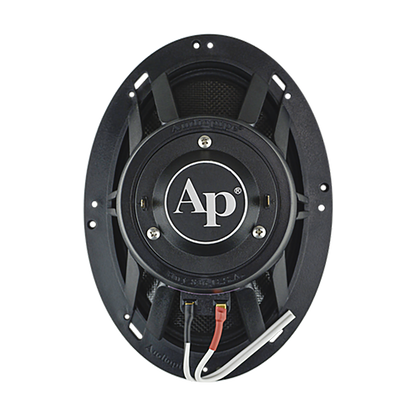 Alto Falante Marítimo 6x9 Audiopipe APMP-6923CHF