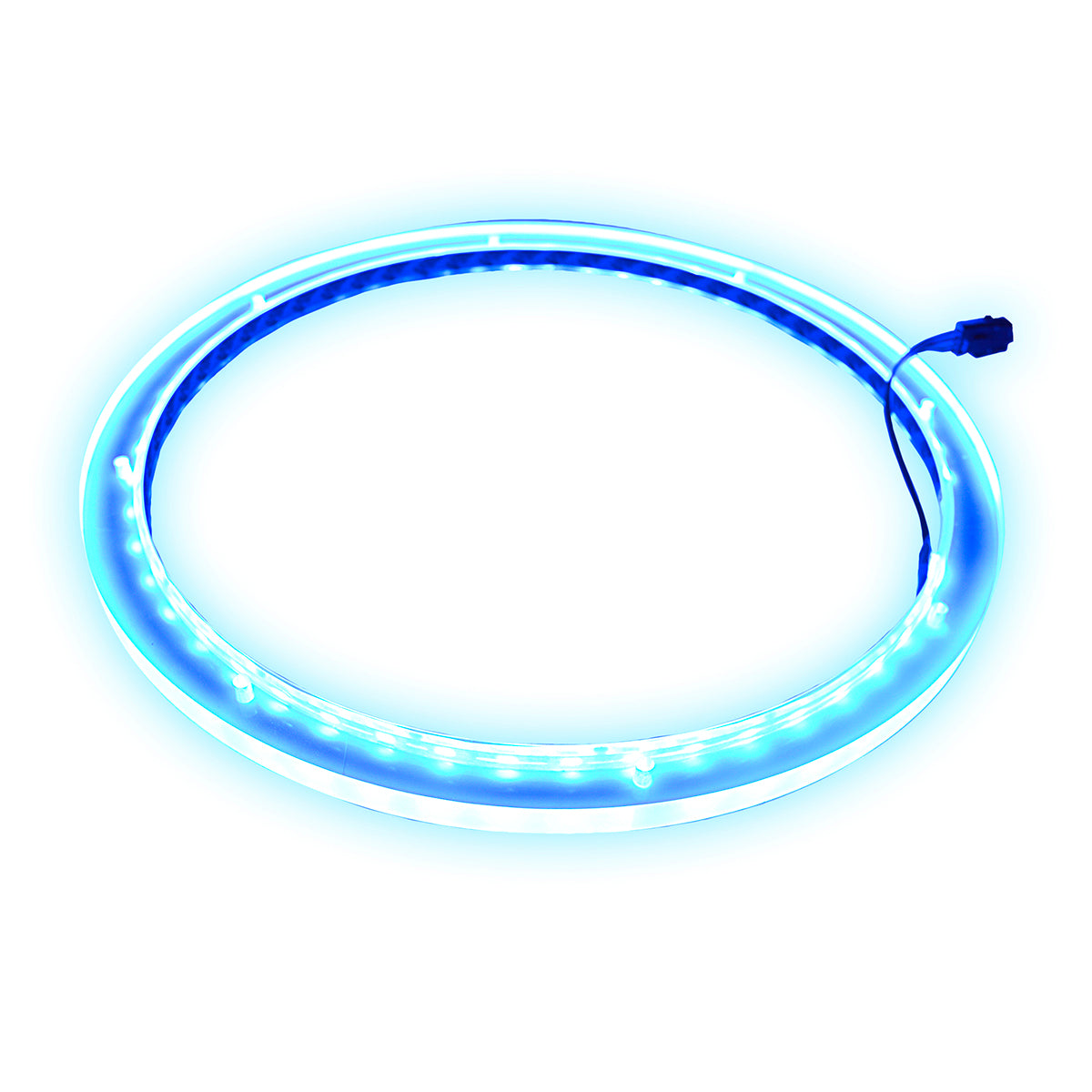 Anel de LED RGB 12 Pol. AudioPipe NL-RIAPMP-12 PAR